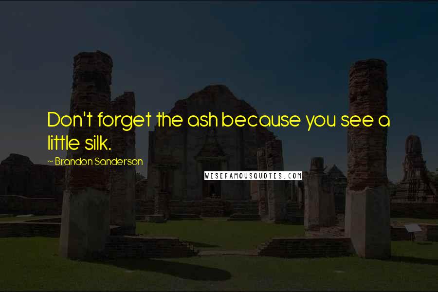 Brandon Sanderson Quotes: Don't forget the ash because you see a little silk.