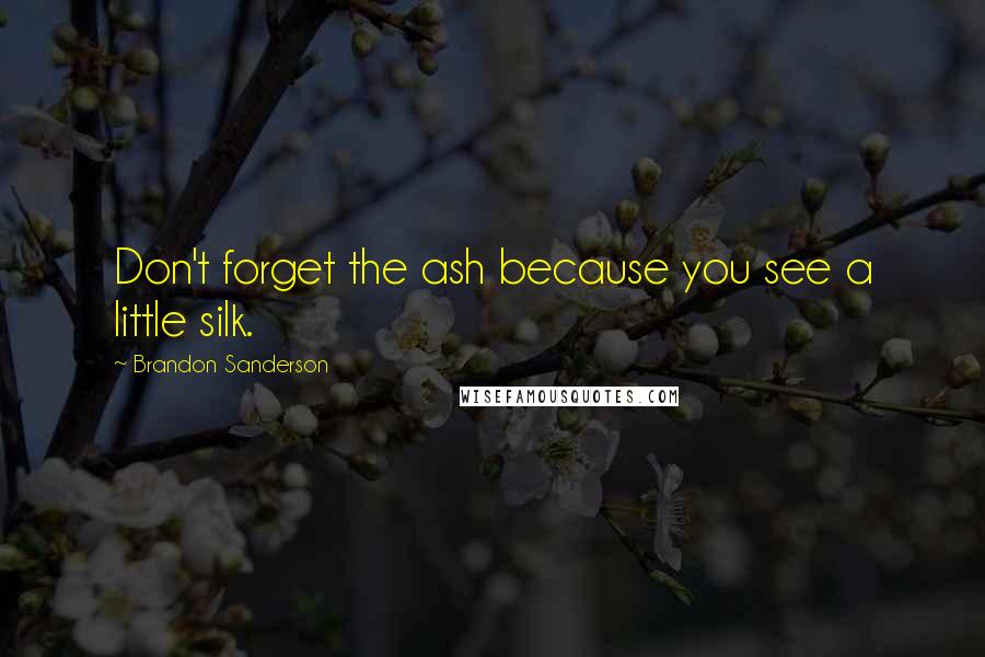 Brandon Sanderson Quotes: Don't forget the ash because you see a little silk.