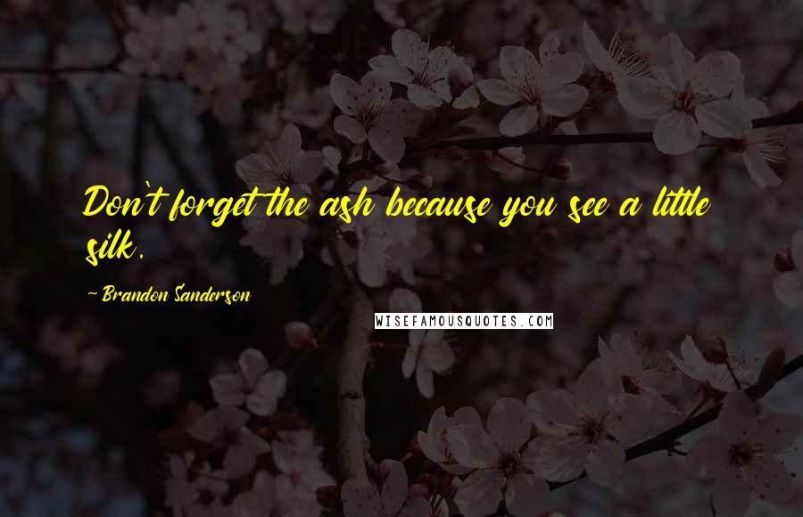 Brandon Sanderson Quotes: Don't forget the ash because you see a little silk.