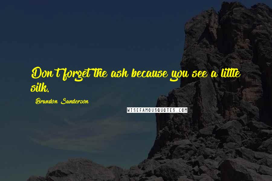Brandon Sanderson Quotes: Don't forget the ash because you see a little silk.