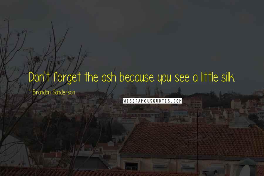 Brandon Sanderson Quotes: Don't forget the ash because you see a little silk.