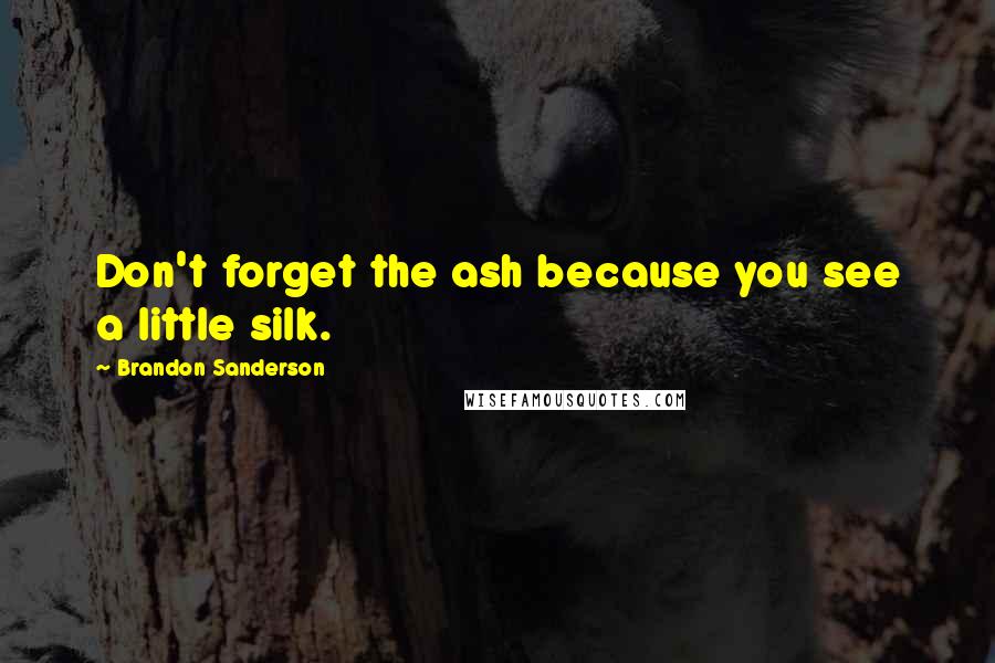 Brandon Sanderson Quotes: Don't forget the ash because you see a little silk.