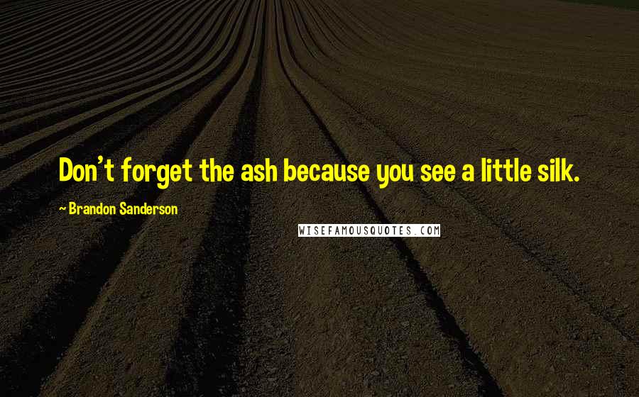 Brandon Sanderson Quotes: Don't forget the ash because you see a little silk.
