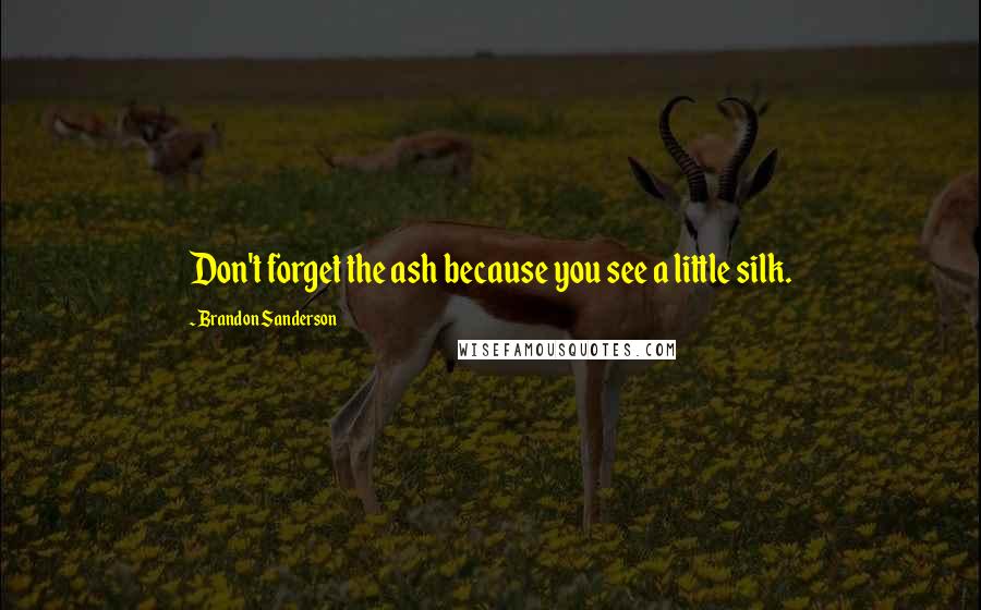 Brandon Sanderson Quotes: Don't forget the ash because you see a little silk.