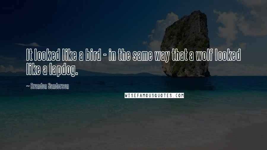 Brandon Sanderson Quotes: It looked like a bird - in the same way that a wolf looked like a lapdog.