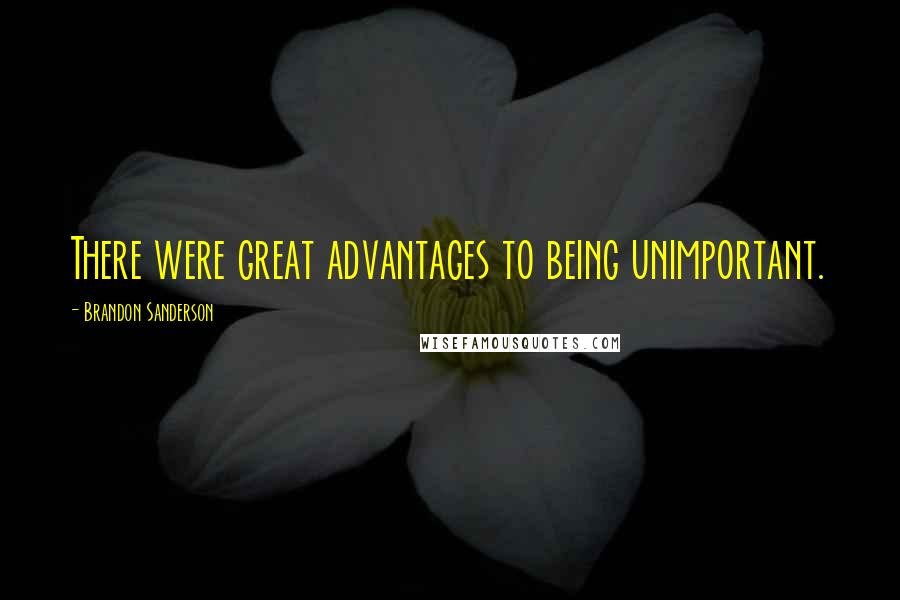 Brandon Sanderson Quotes: There were great advantages to being unimportant.