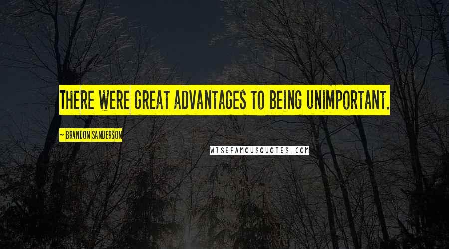 Brandon Sanderson Quotes: There were great advantages to being unimportant.