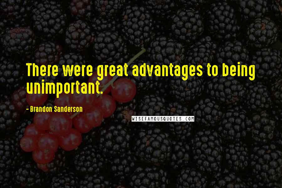 Brandon Sanderson Quotes: There were great advantages to being unimportant.