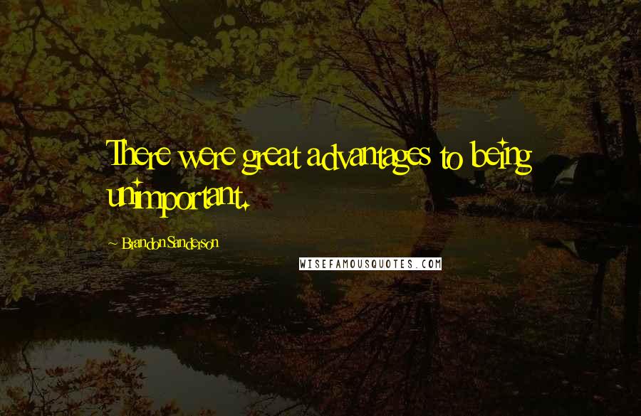 Brandon Sanderson Quotes: There were great advantages to being unimportant.