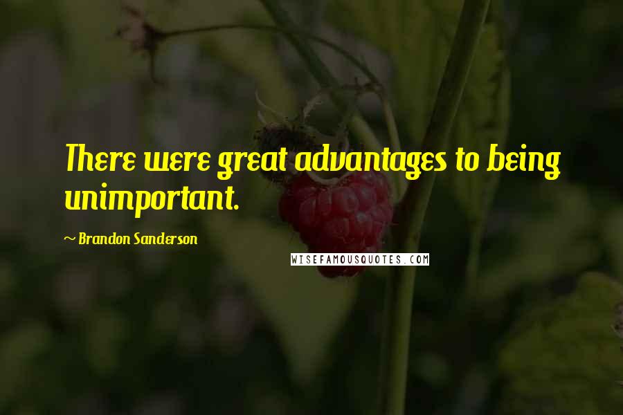 Brandon Sanderson Quotes: There were great advantages to being unimportant.