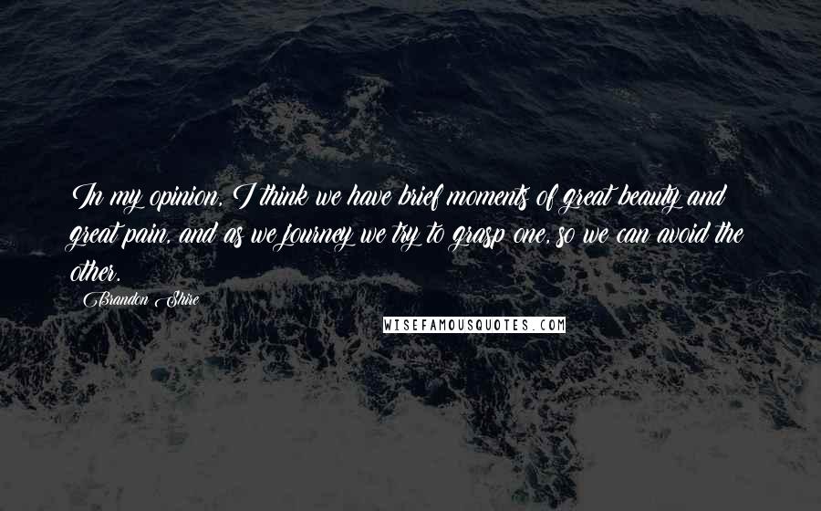 Brandon Shire Quotes: In my opinion, I think we have brief moments of great beauty and great pain, and as we journey we try to grasp one, so we can avoid the other.