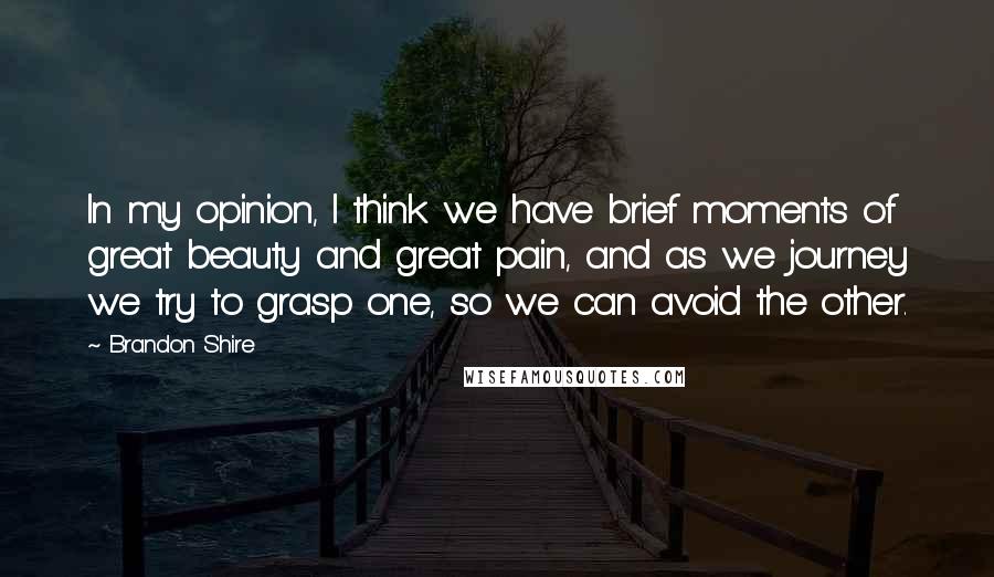 Brandon Shire Quotes: In my opinion, I think we have brief moments of great beauty and great pain, and as we journey we try to grasp one, so we can avoid the other.