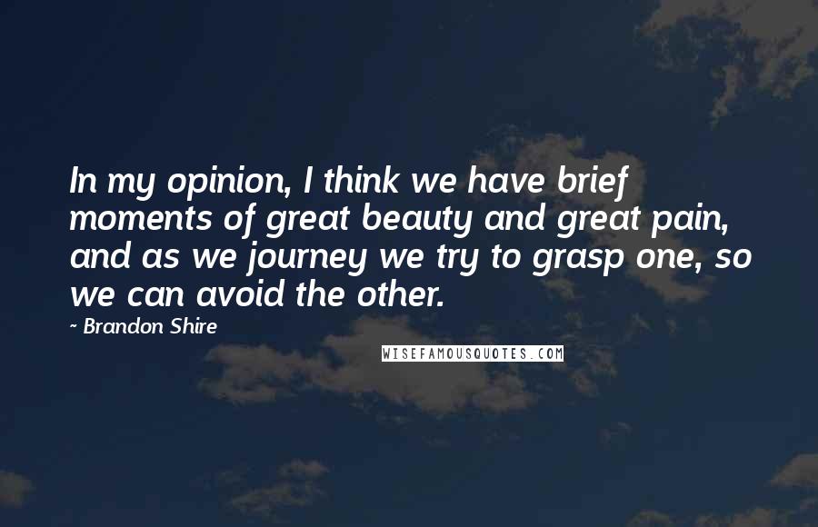 Brandon Shire Quotes: In my opinion, I think we have brief moments of great beauty and great pain, and as we journey we try to grasp one, so we can avoid the other.