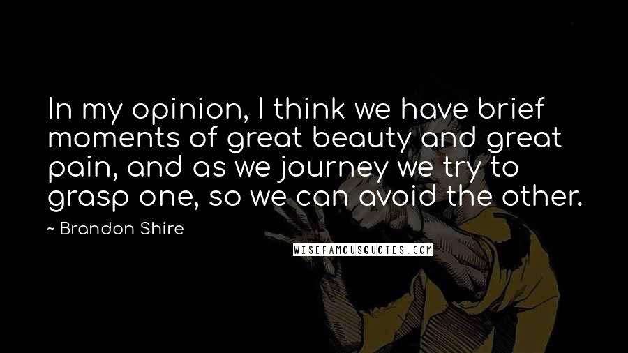 Brandon Shire Quotes: In my opinion, I think we have brief moments of great beauty and great pain, and as we journey we try to grasp one, so we can avoid the other.