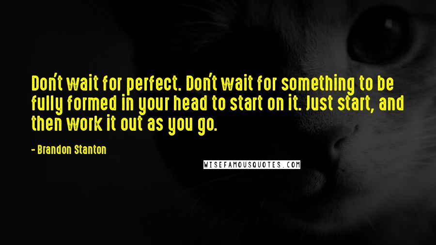 Brandon Stanton Quotes: Don't wait for perfect. Don't wait for something to be fully formed in your head to start on it. Just start, and then work it out as you go.