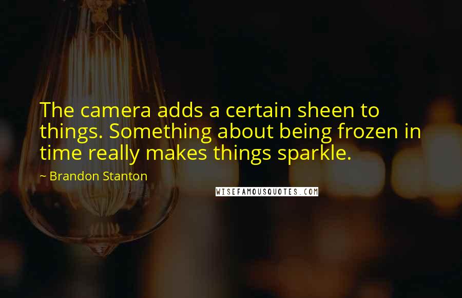 Brandon Stanton Quotes: The camera adds a certain sheen to things. Something about being frozen in time really makes things sparkle.