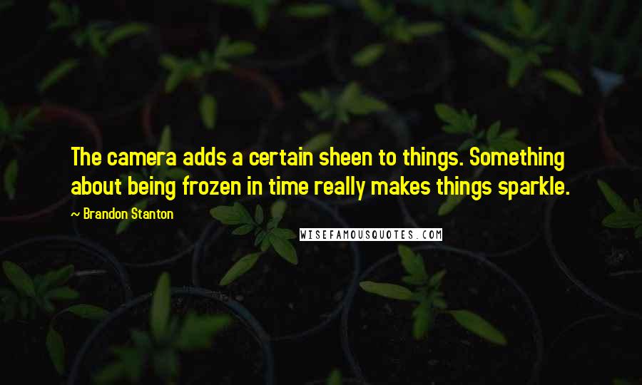 Brandon Stanton Quotes: The camera adds a certain sheen to things. Something about being frozen in time really makes things sparkle.