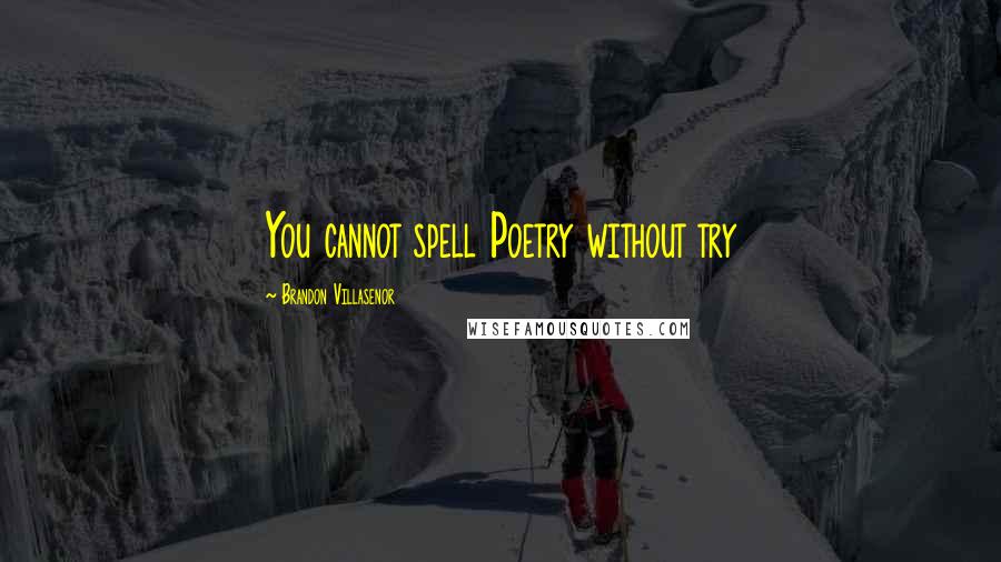 Brandon Villasenor Quotes: You cannot spell Poetry without try