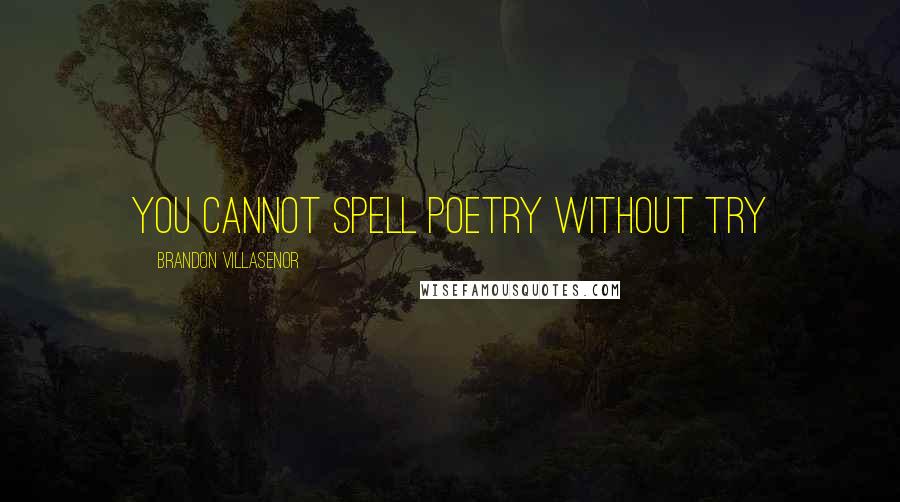 Brandon Villasenor Quotes: You cannot spell Poetry without try