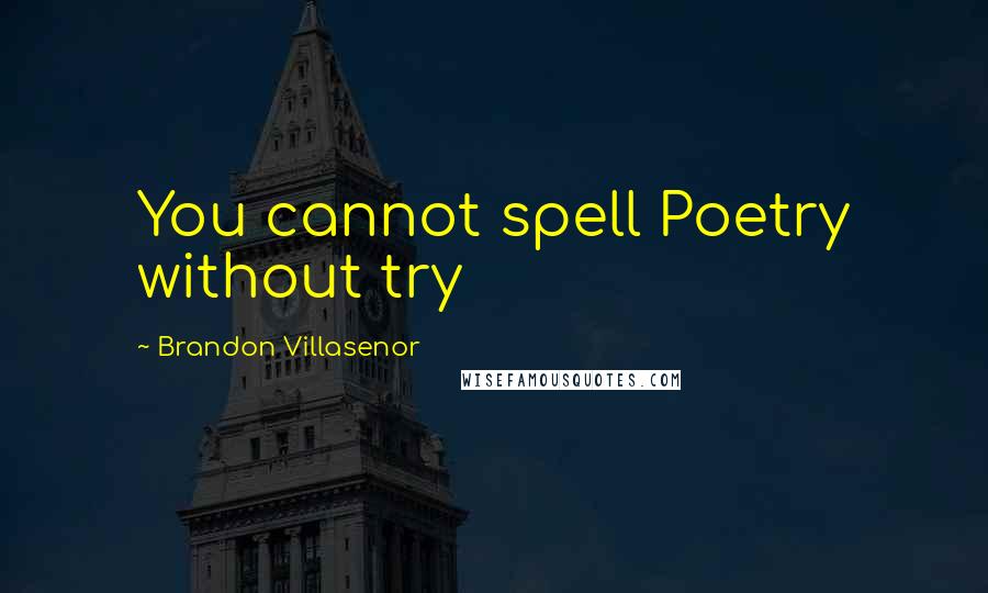 Brandon Villasenor Quotes: You cannot spell Poetry without try