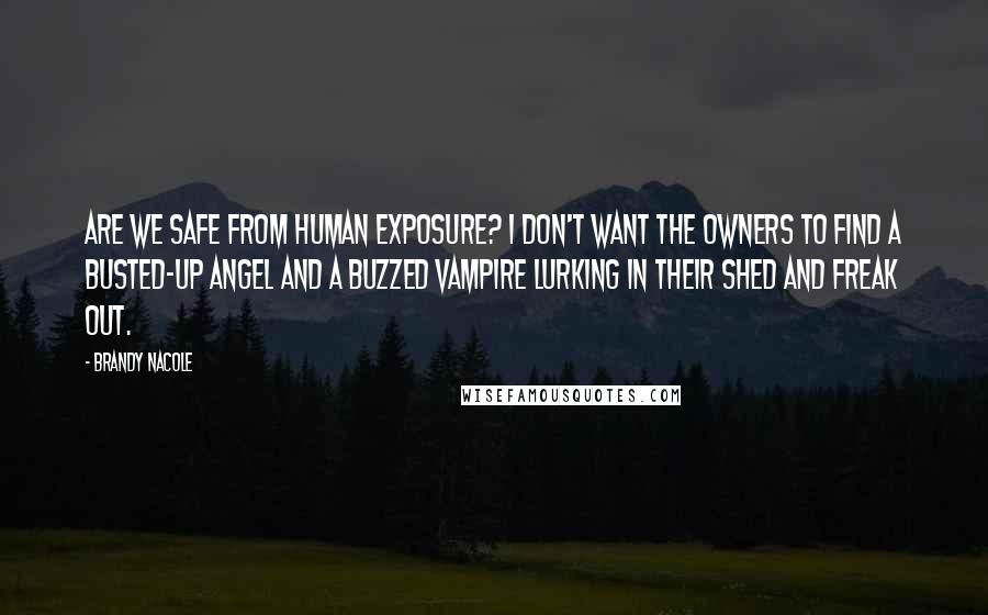 Brandy Nacole Quotes: Are we safe from human exposure? I don't want the owners to find a busted-up angel and a buzzed vampire lurking in their shed and freak out.