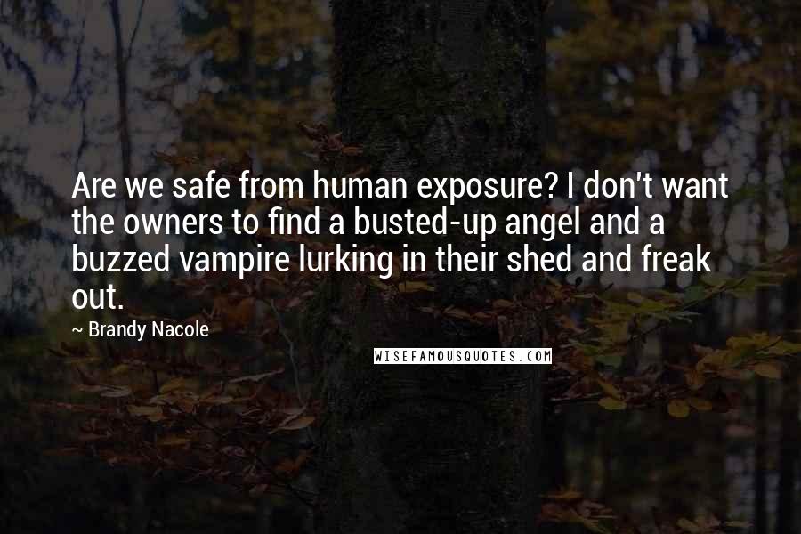 Brandy Nacole Quotes: Are we safe from human exposure? I don't want the owners to find a busted-up angel and a buzzed vampire lurking in their shed and freak out.