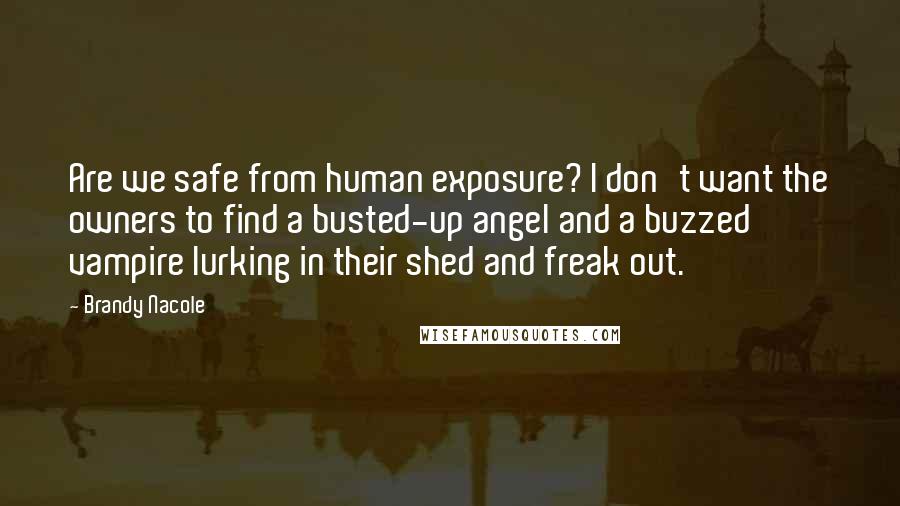 Brandy Nacole Quotes: Are we safe from human exposure? I don't want the owners to find a busted-up angel and a buzzed vampire lurking in their shed and freak out.