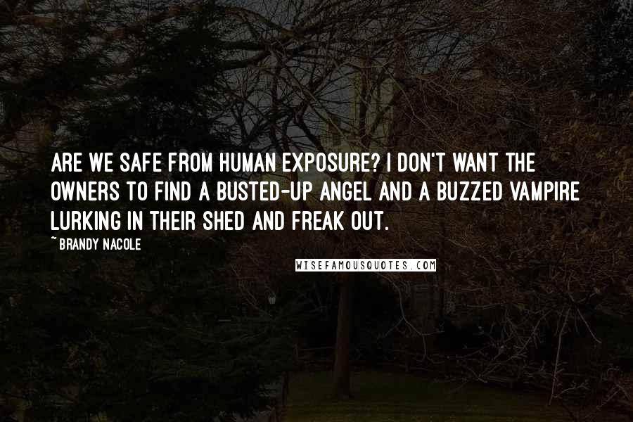 Brandy Nacole Quotes: Are we safe from human exposure? I don't want the owners to find a busted-up angel and a buzzed vampire lurking in their shed and freak out.