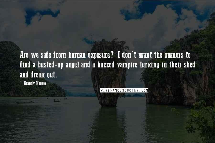 Brandy Nacole Quotes: Are we safe from human exposure? I don't want the owners to find a busted-up angel and a buzzed vampire lurking in their shed and freak out.