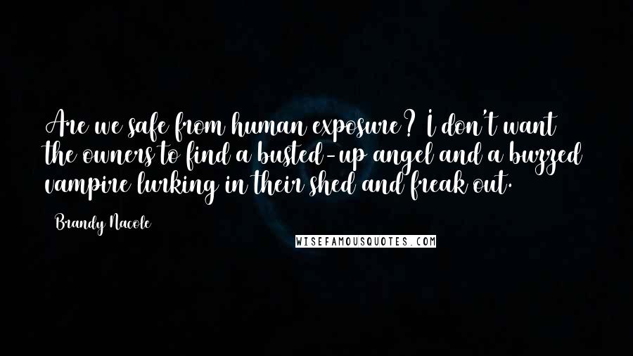 Brandy Nacole Quotes: Are we safe from human exposure? I don't want the owners to find a busted-up angel and a buzzed vampire lurking in their shed and freak out.