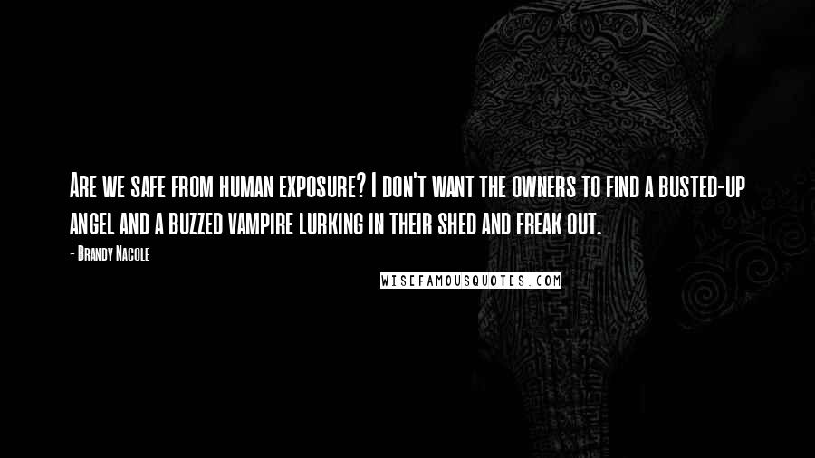 Brandy Nacole Quotes: Are we safe from human exposure? I don't want the owners to find a busted-up angel and a buzzed vampire lurking in their shed and freak out.