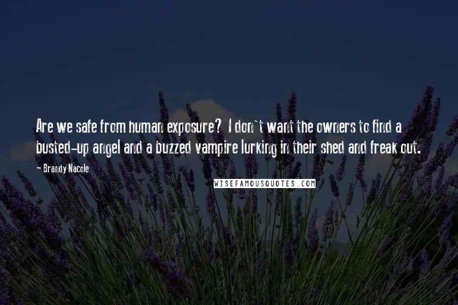 Brandy Nacole Quotes: Are we safe from human exposure? I don't want the owners to find a busted-up angel and a buzzed vampire lurking in their shed and freak out.