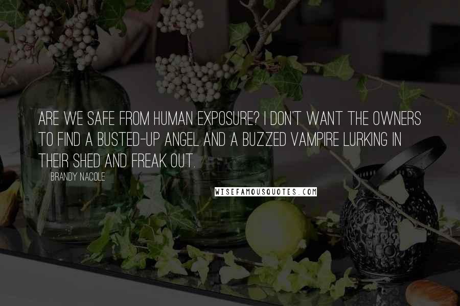 Brandy Nacole Quotes: Are we safe from human exposure? I don't want the owners to find a busted-up angel and a buzzed vampire lurking in their shed and freak out.