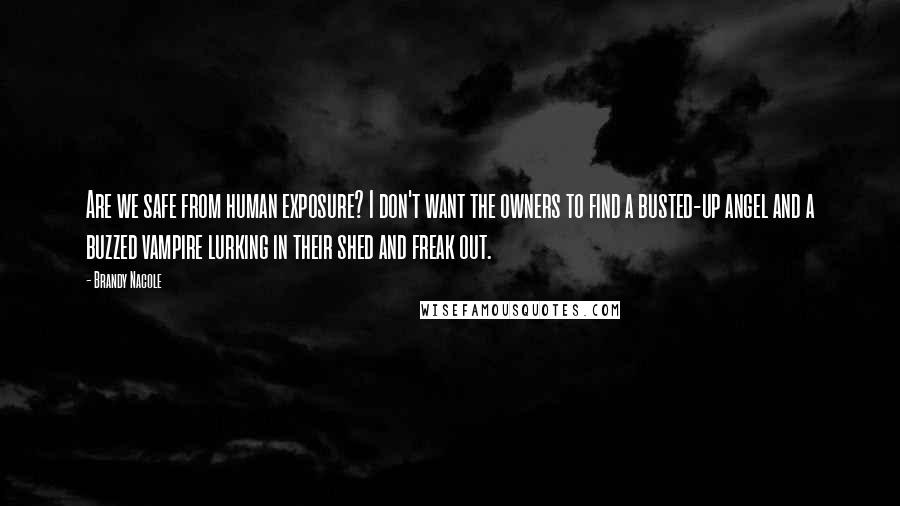 Brandy Nacole Quotes: Are we safe from human exposure? I don't want the owners to find a busted-up angel and a buzzed vampire lurking in their shed and freak out.