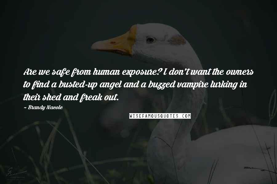 Brandy Nacole Quotes: Are we safe from human exposure? I don't want the owners to find a busted-up angel and a buzzed vampire lurking in their shed and freak out.