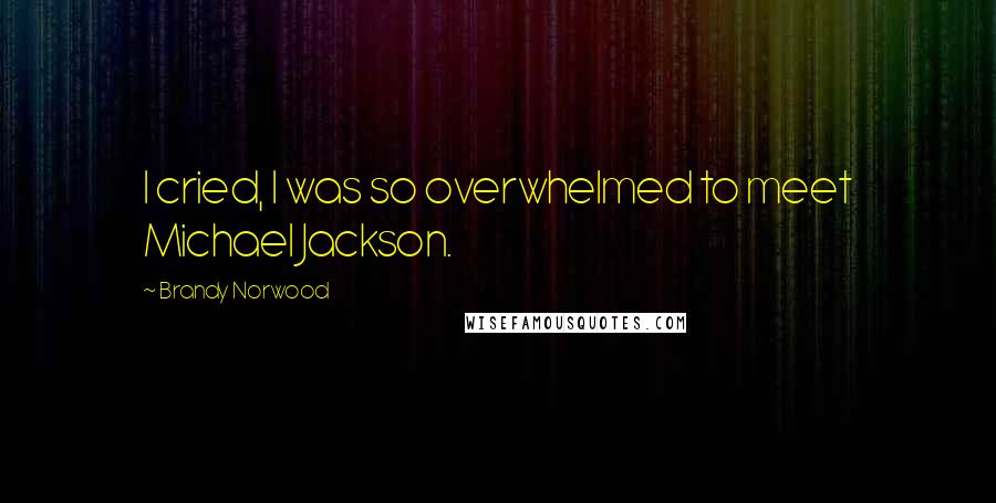 Brandy Norwood Quotes: I cried, I was so overwhelmed to meet Michael Jackson.