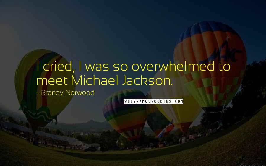 Brandy Norwood Quotes: I cried, I was so overwhelmed to meet Michael Jackson.