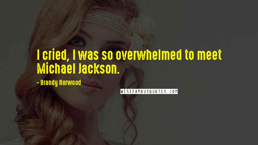 Brandy Norwood Quotes: I cried, I was so overwhelmed to meet Michael Jackson.