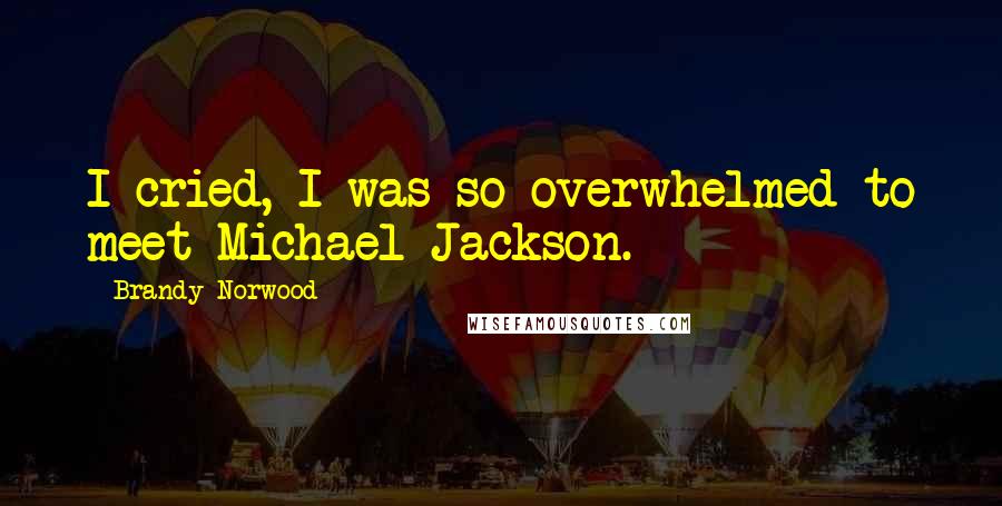 Brandy Norwood Quotes: I cried, I was so overwhelmed to meet Michael Jackson.