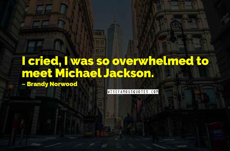 Brandy Norwood Quotes: I cried, I was so overwhelmed to meet Michael Jackson.