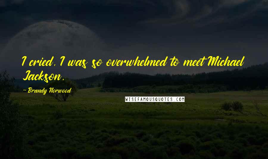 Brandy Norwood Quotes: I cried, I was so overwhelmed to meet Michael Jackson.