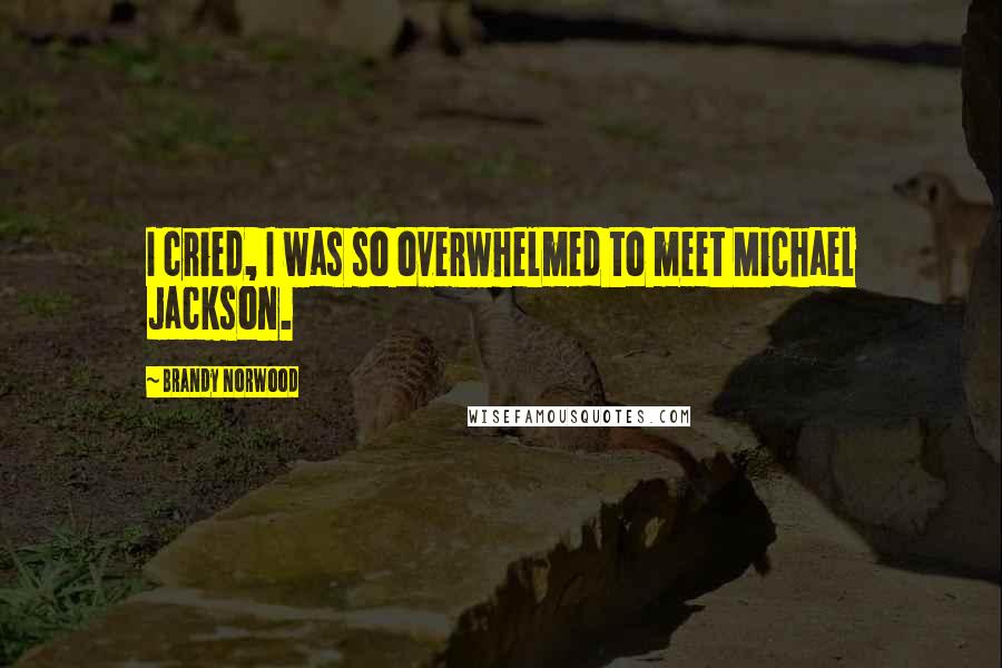 Brandy Norwood Quotes: I cried, I was so overwhelmed to meet Michael Jackson.