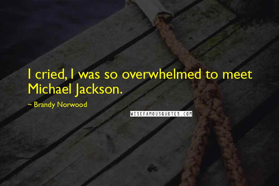 Brandy Norwood Quotes: I cried, I was so overwhelmed to meet Michael Jackson.