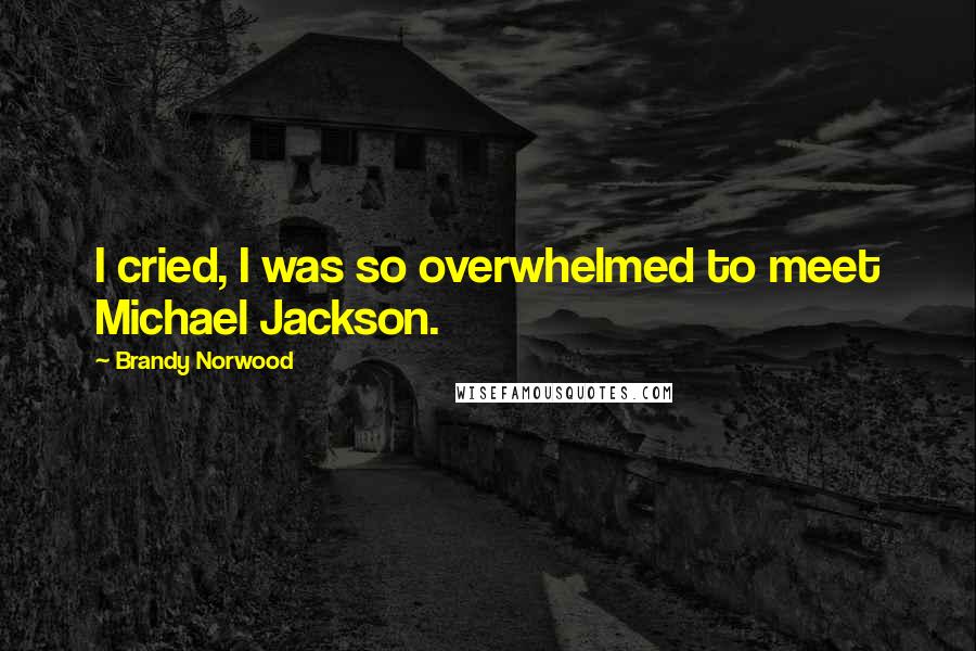 Brandy Norwood Quotes: I cried, I was so overwhelmed to meet Michael Jackson.