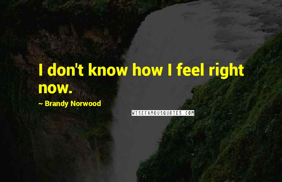Brandy Norwood Quotes: I don't know how I feel right now.