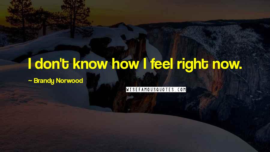 Brandy Norwood Quotes: I don't know how I feel right now.