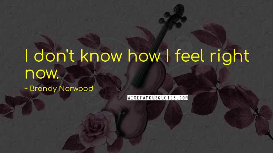 Brandy Norwood Quotes: I don't know how I feel right now.