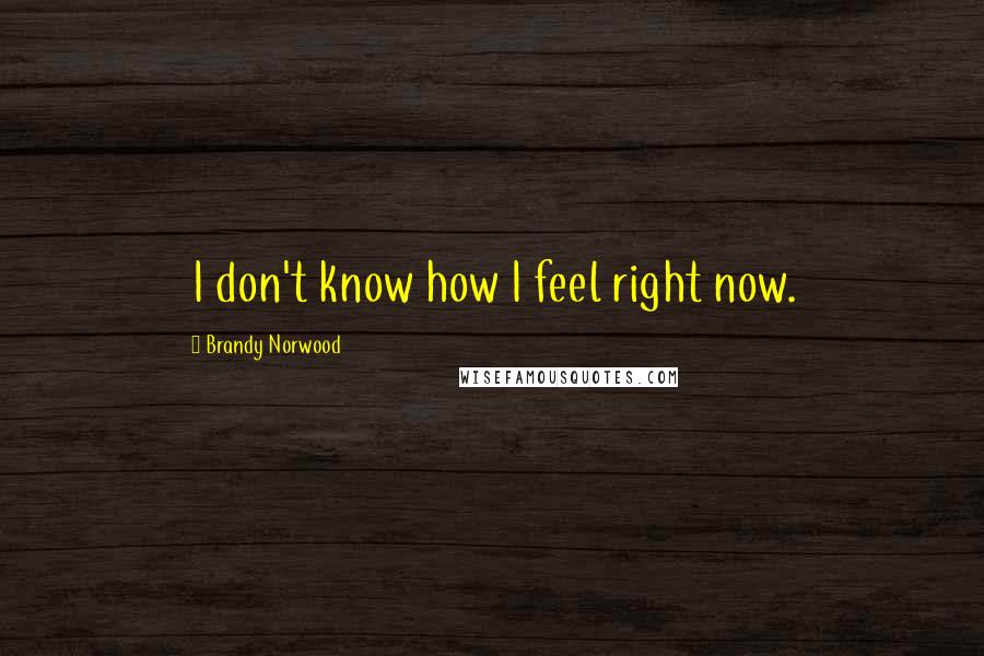 Brandy Norwood Quotes: I don't know how I feel right now.