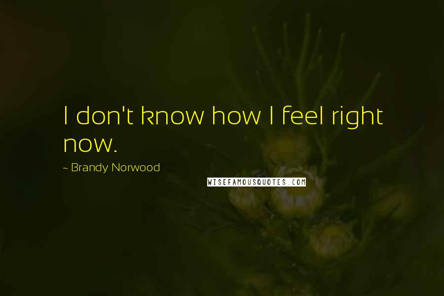 Brandy Norwood Quotes: I don't know how I feel right now.