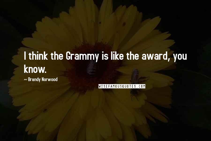 Brandy Norwood Quotes: I think the Grammy is like the award, you know.